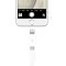 capshiJH4007白色苹果适于iPhone5/5s/6/6s//8Plus iPad4/5配件充电线数据线转接头