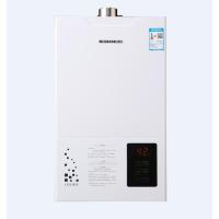 前锋燃气热水器JSQ20-X306(T)