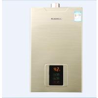 前锋燃气热水器JSQ20-X308(T)