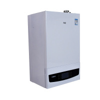 红日E家壁挂炉LL1PBD24-C3
