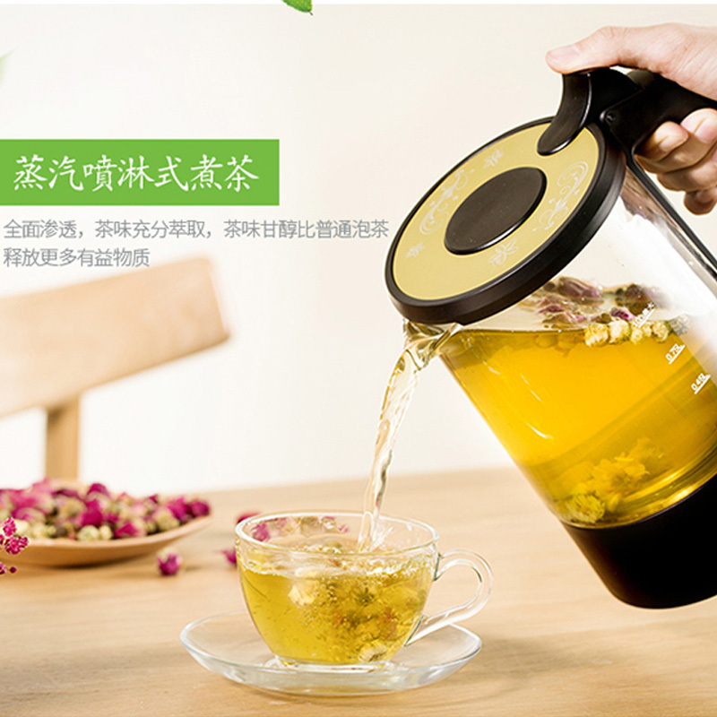 东菱(Donlim)煮茶器DL-Y300 蒸汽式煮茶壶 养生壶 电水壶 1升/L