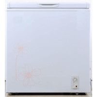 白雪冷柜BD/C-155D转换型冷冻冷藏箱