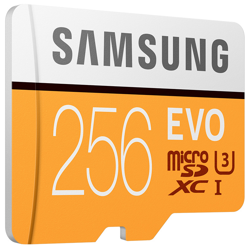 三星(SAMSUNG) microSD存储卡 256G Class10 UHS-1 传输100MB/s 升级版