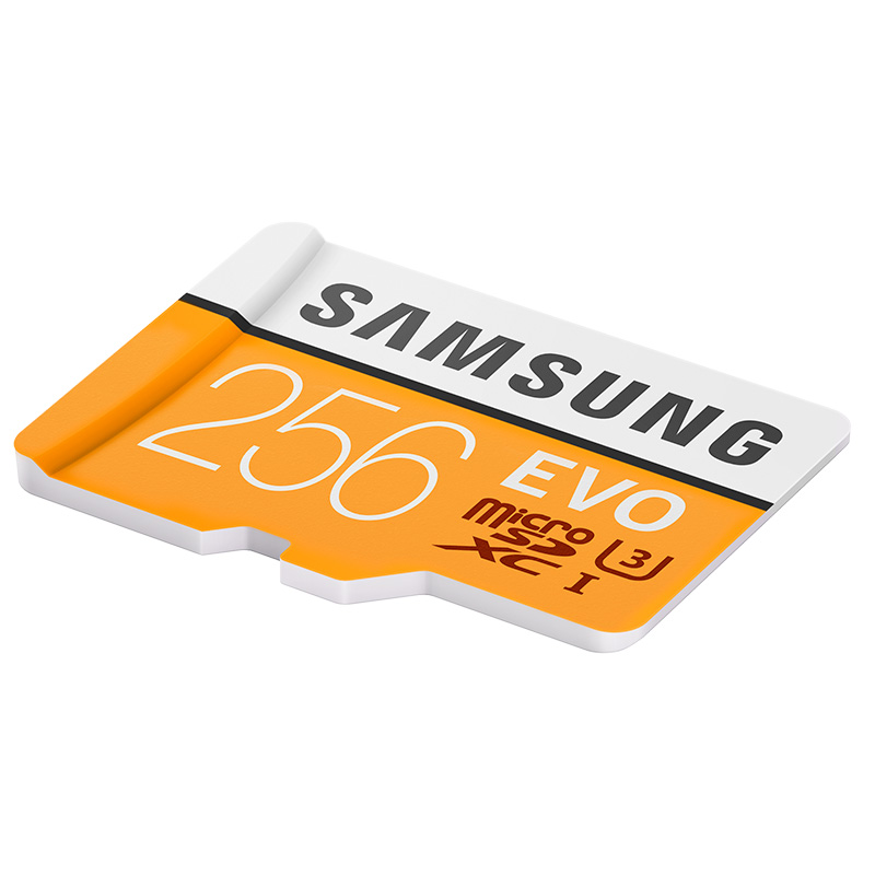 三星(SAMSUNG) microSD存储卡 256G Class10 UHS-1 传输100MB/s 升级版高清大图