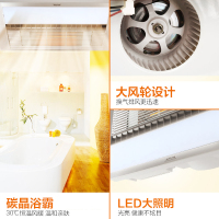 奥普(AUPU)浴霸 5217A风暖型纯平多功能浴霸 高端碳晶管 LED大照明 换气 速热浴霸