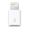 Apple MD820FE/A Lightning 至 Micro USB 转换器