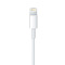 Apple ME291FE/A Lightning 至 USB 连接线 (0.5 米)