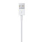Apple ME291FE/A Lightning 至 USB 连接线 (0.5 米)