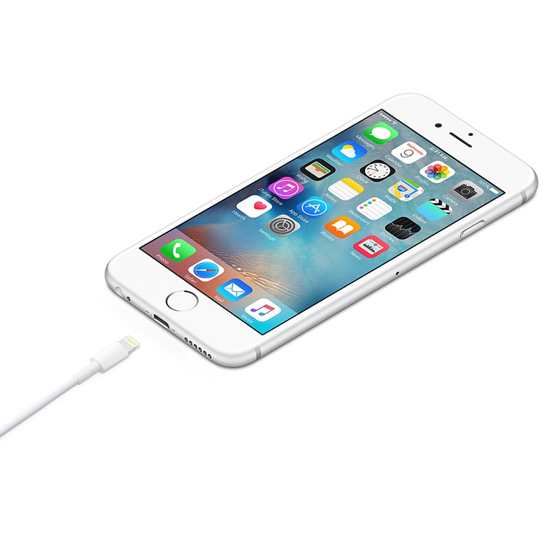 Apple ME291FE/A Lightning 至 USB 连接线 (0.5 米)