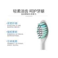 雷瓦(RIWA) RG-1002儿童牙刷卡通可爱造型声波电动牙刷 绿色