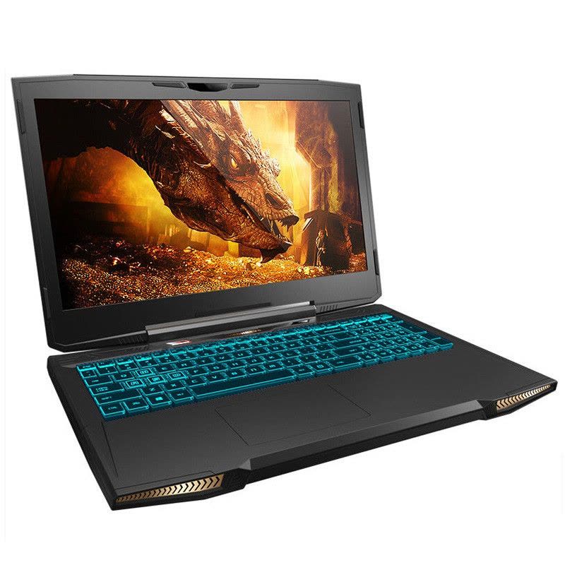 机械革命深海泰坦X6Ti-S大师版游戏笔记本电脑(i7-7700HQ 8G 256G GTX1050TI 4G)黑色图片