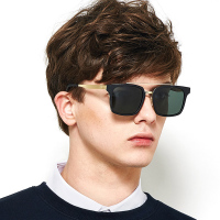 蓝其2017新款偏光太阳镜个性双杠太阳镜男6069