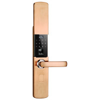 亚太天能指纹锁 家用防盗门锁智能密码锁防盗锁电子门锁 V2 红古铜