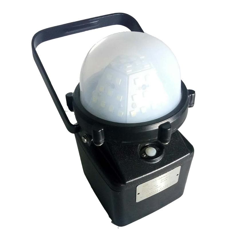 泰来 TY810 LED便携式工作灯-9W图片
