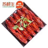 【苏宁生鲜】洪湖十三香风味小龙虾1.7kg(34-50只)