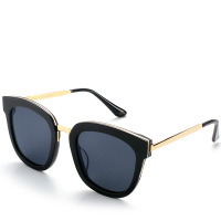 蓝其新款偏光太阳镜 潮彩膜板材大框太阳镜情侣款 男女同款6101