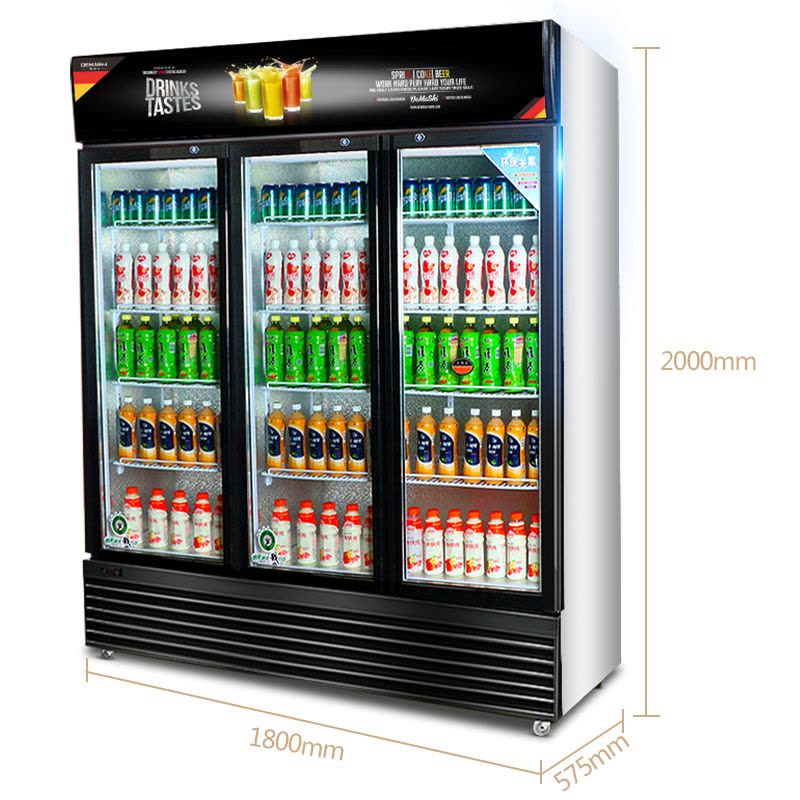 德玛仕(DEMASHI)商用展示柜冰箱冷柜饮料展示柜冷藏展示柜保鲜冰柜LG-1100B(慕尼黑)图片