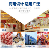 德玛仕(DEMASHI) 商用冰柜 立式冰箱 冷藏展示柜 商用冷柜 四门上玻璃展示柜(上冷藏下冷冻)