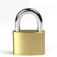 国产 铜色 塑料箱 挂锁 XYQTS004(只)