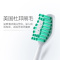Haier/海尔 电动牙刷头替换电动牙刷头成人美白牙齿刷牙头