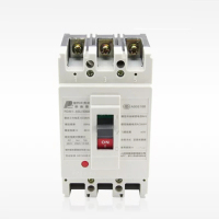 人民塑壳式断路器RDM10-100/3300 100A