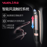 月立(YUELI)吹风机HD-061 2000瓦功率家用 滑屏触摸操控 负离子电吹风6档