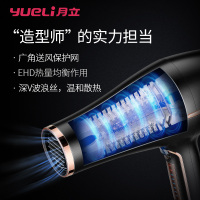 月立(YUELI)吹风机HD-061 2000瓦功率家用 滑屏触摸操控 负离子电吹风6档