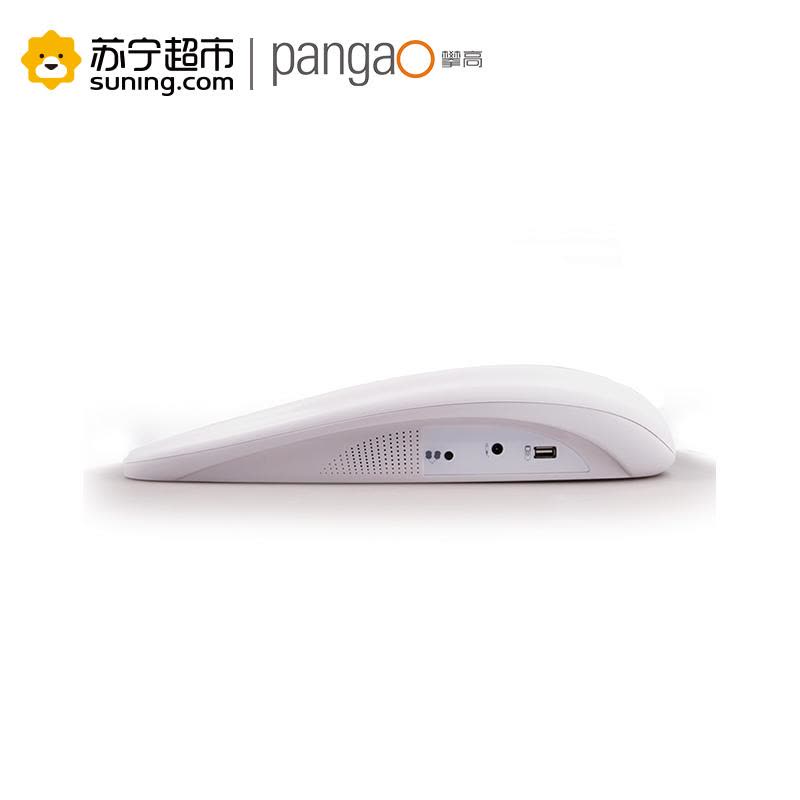 [苏宁超市]攀高(PANGAO)腰椎按摩器图片