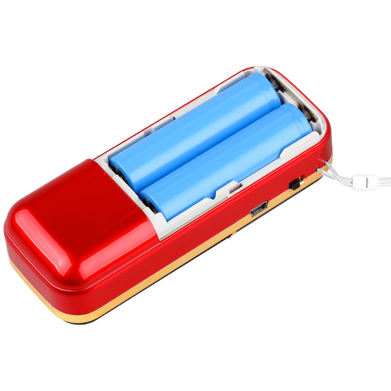 纽曼(Newsmy)L57双电双插卡收音机 音响 音箱 MP3外响播放器 老年人迷你插卡小手提便携式音响随身听 红色