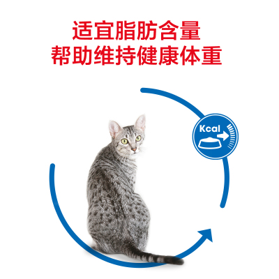 ROYAL CANIN 皇家宠物食品 室内成猫粮 2KG Indoor27/2KG