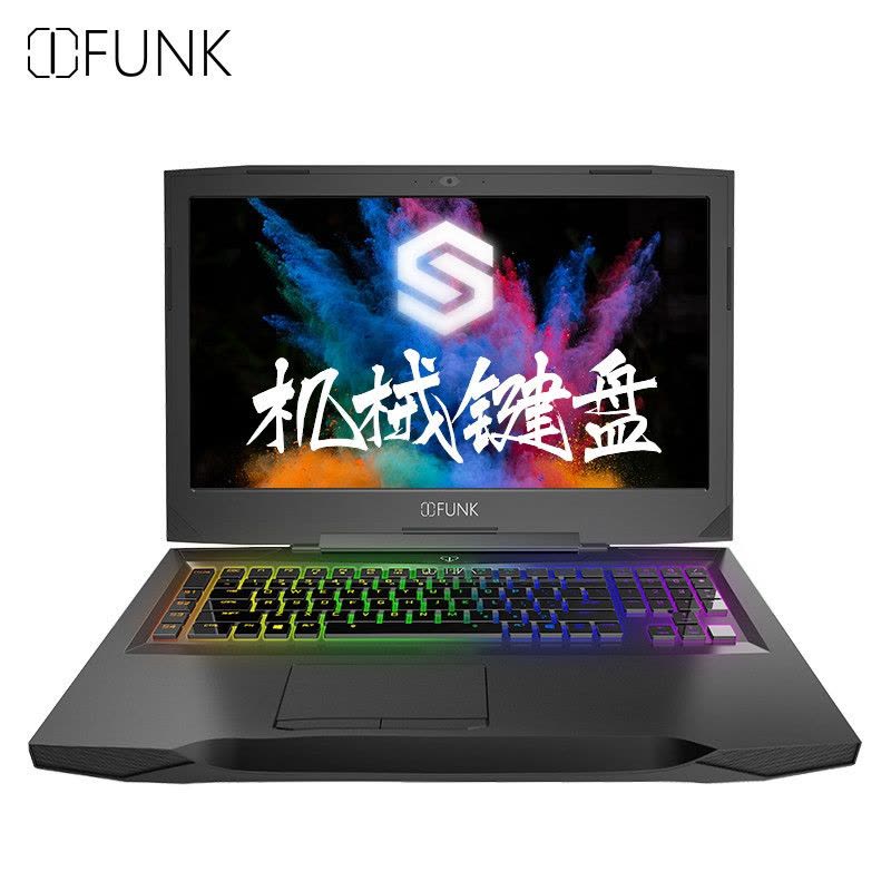 iFunk S 17.3英寸游戏本笔记本电脑（i7-7700HQ 16G 1TB+256GB GTX1060）图片