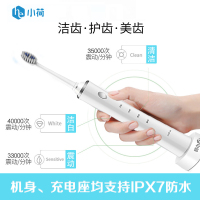 小荷电动牙刷HOB 成人充电式声波震动智能电动牙刷 防水自动智能美白