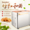 西点(Seeden) SD-8205面包机家用全自动多功能智能酸奶蛋糕和面