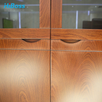 HiBoss 办公家具油漆文件柜 办公柜 玻璃门资料柜 书柜 档案柜