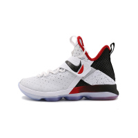 NIKE/耐克 男鞋 2017新款 詹姆斯实战高帮运动篮球鞋 921084-103