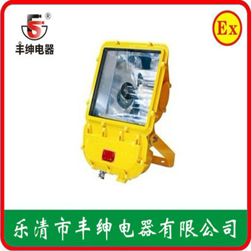 尚为防爆泛光灯SW8110