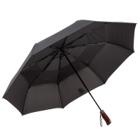 美度(MAYDU)M3118 双层防风晴雨伞全自动三折男士商务雨伞 黑色