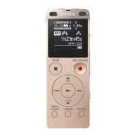 ICD-UX560F 录音笔 单支装