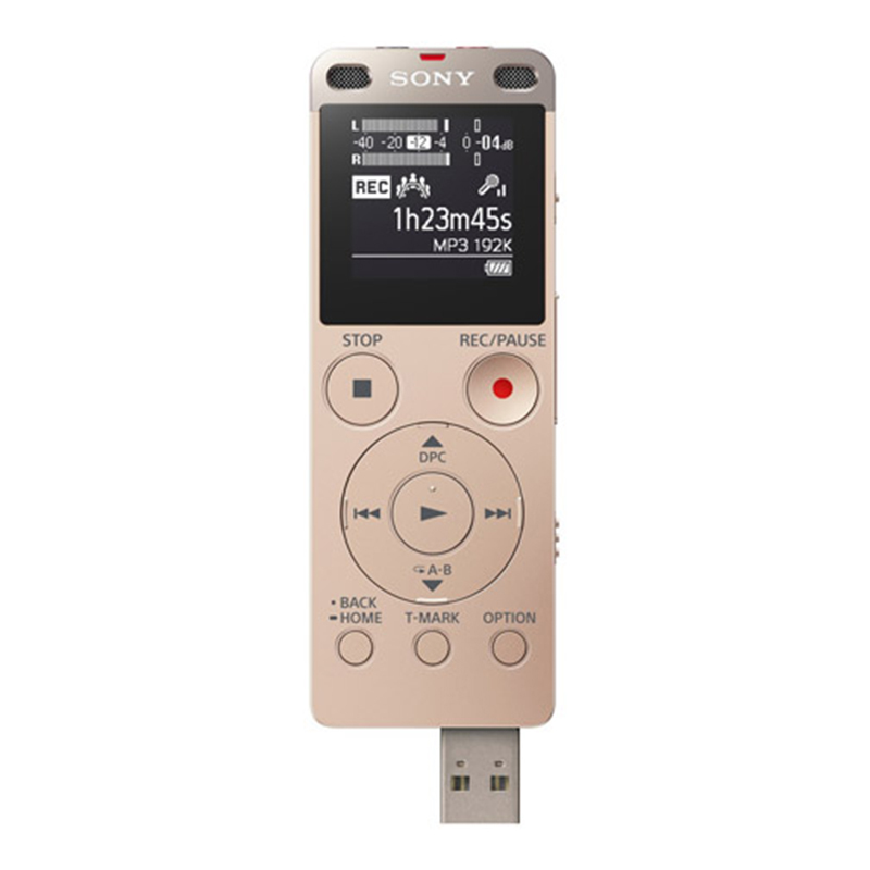 ICD-UX560F 录音笔 单支装
