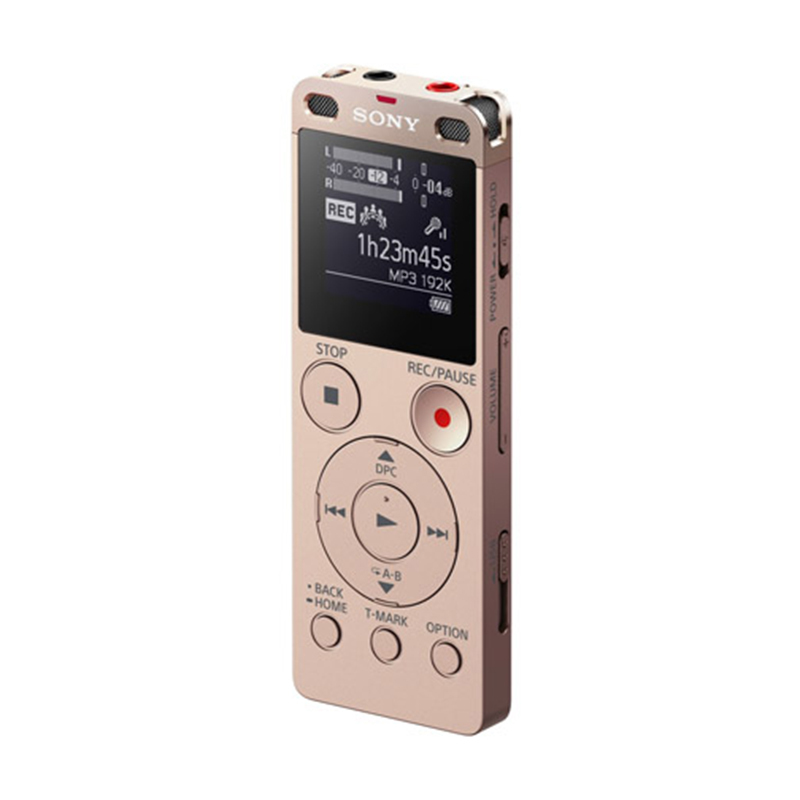 ICD-UX560F 录音笔 单支装