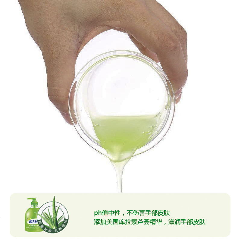 蓝月亮 芦荟抑菌洗手液袋装500g