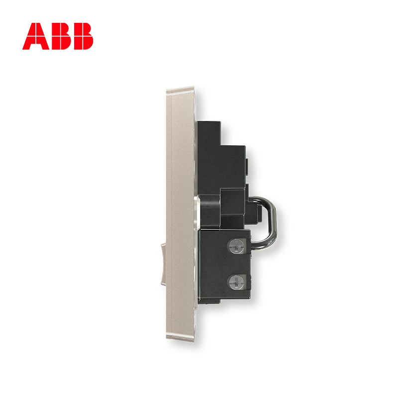 ABB开关插座 轩致无框二位中标带开关 二三极插 10AAF225-PG