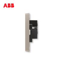 ABB开关插座 轩致无框一位中标三孔插座16AAF206-PG