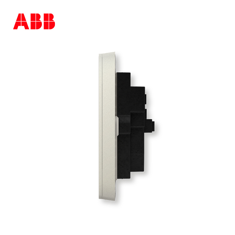 ABB开关插座 轩致无框二位中标 二三极插座10AAF205-CS