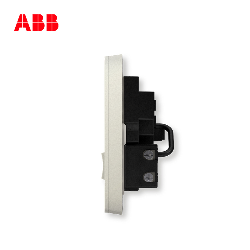 ABB开关插座 轩致无框二位中标带开关 二三极插 10AAF225-CS