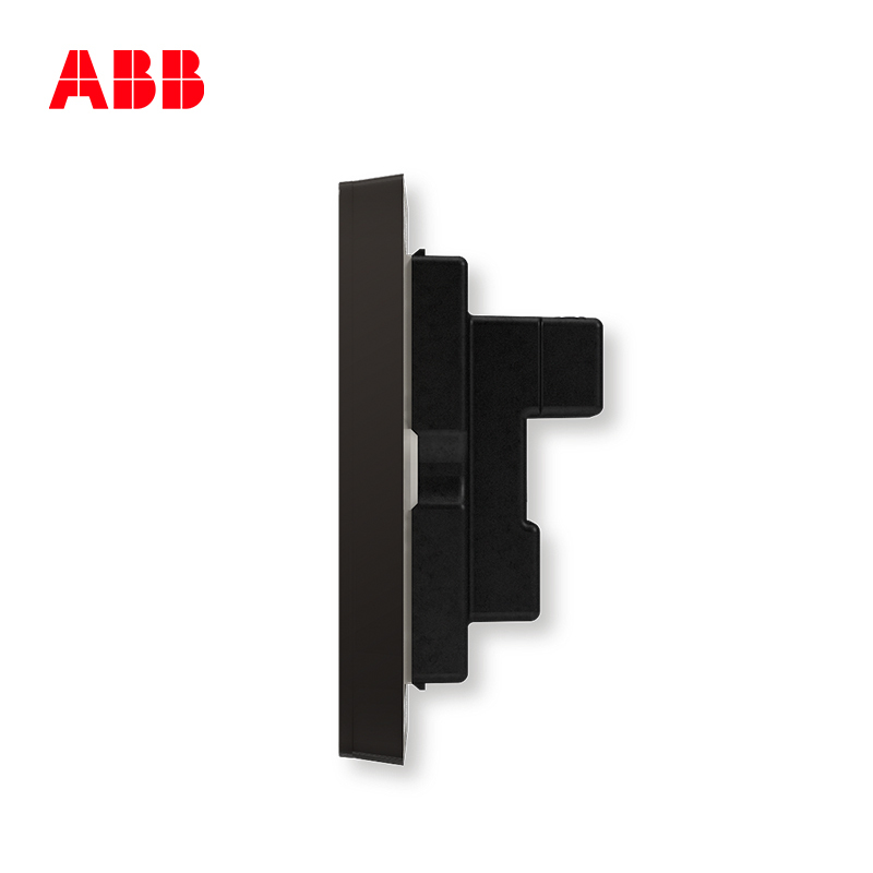 ABB开关插座 轩致无框二位中标 二 二极插座10AAF212-885