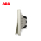 ABB开关插座 轩致无框 香槟银一位中间开关 10AXAF119-CS