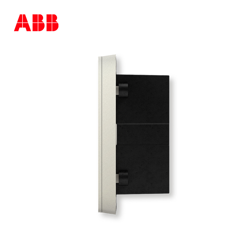 ABB开关插座 轩致无框二位带USB充电中标 二三极插座10AAF293-CS