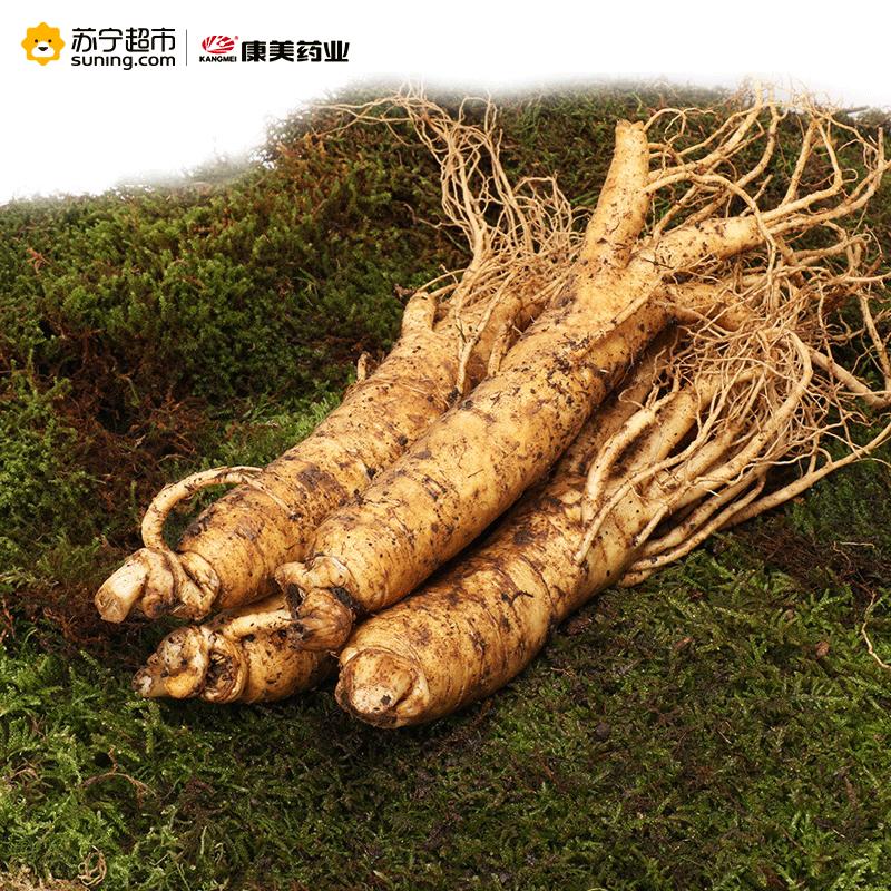 [敬请期待2018年8-9月份新鲜上市]康美 鲜人参 长白山原产地采挖新鲜人参山参 35g*2根 新鲜道地好参