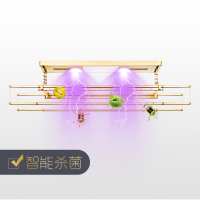 西默XIMO 电动晾衣架 升降阳台遥控智能自动集成吊顶伸缩晒凉衣杆机XMSH-CH150